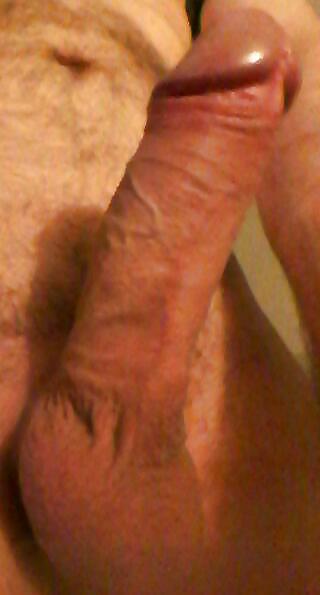 貸し出し用 . . .
 #37420140