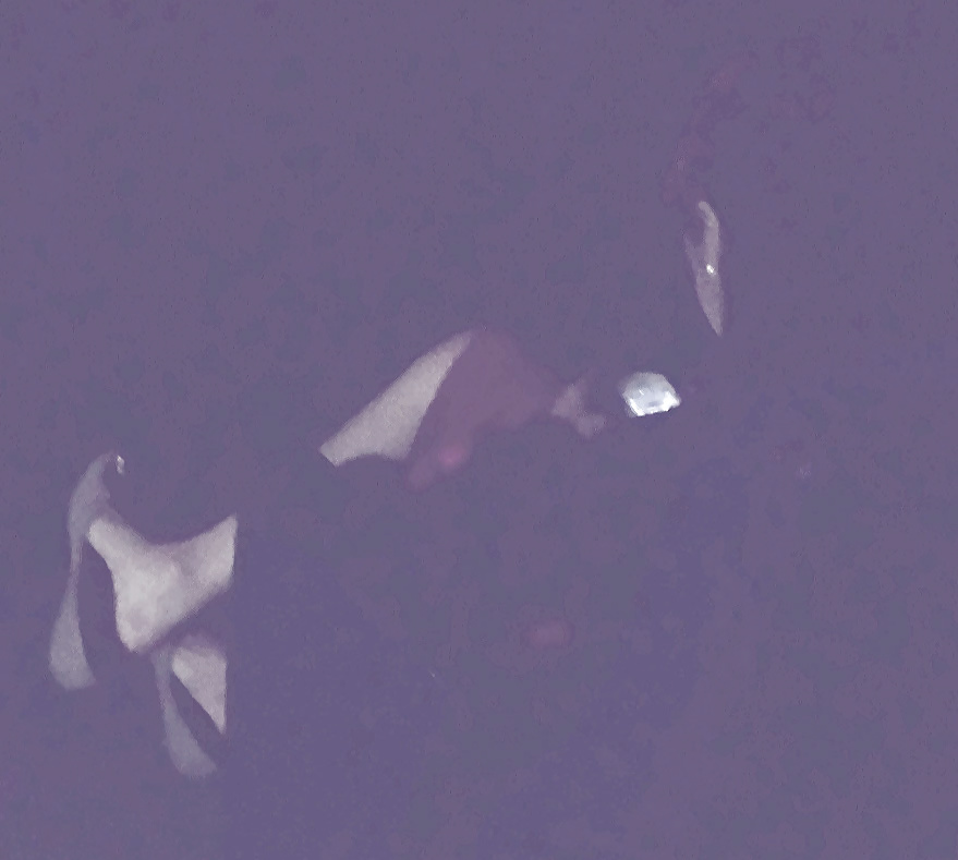 パイナッポーの若い売春婦の劇場の靴がぶら下がっている
 #25256895