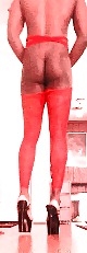 Rosso sexy crossdresser
 #37272460