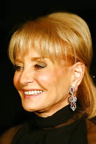 Barbara walters----real and fake
 #27026289