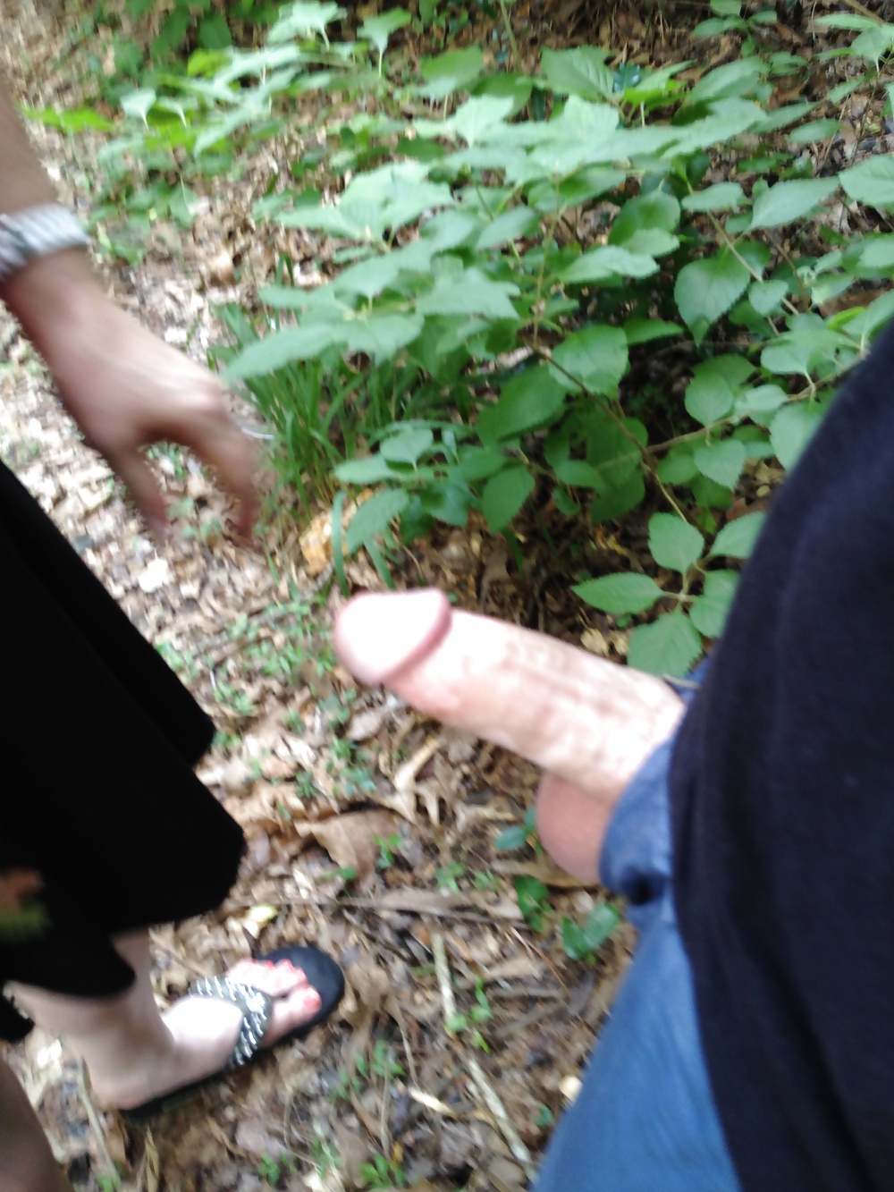 More of our walk in the park #28462071