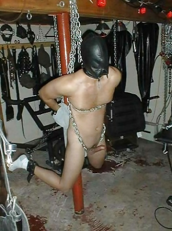 SLAVE IN ACTION  #31529979