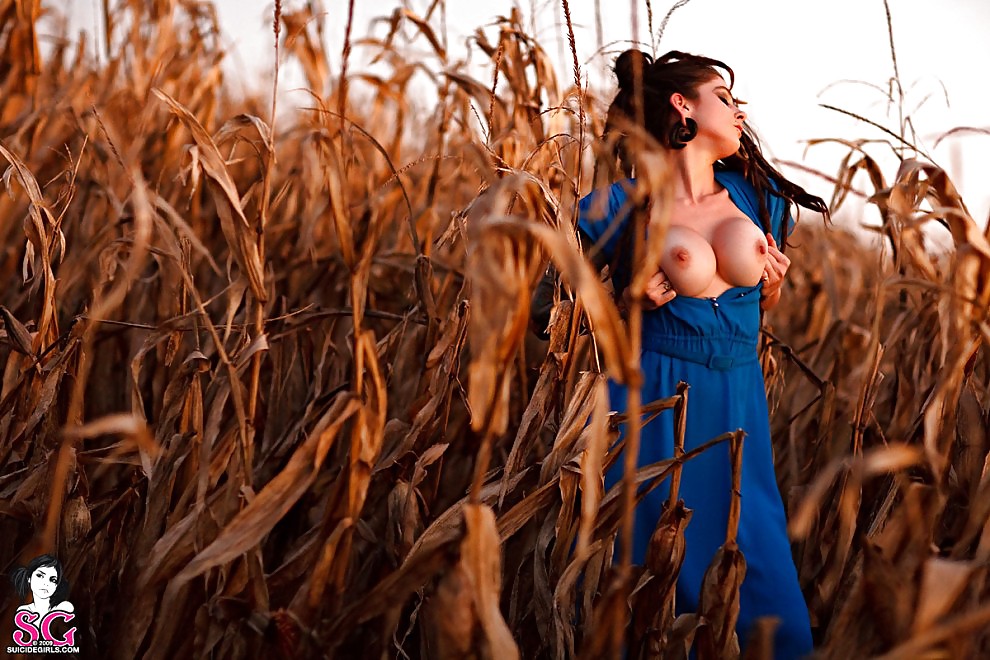 Suicide Girls Vol.1 #24343430