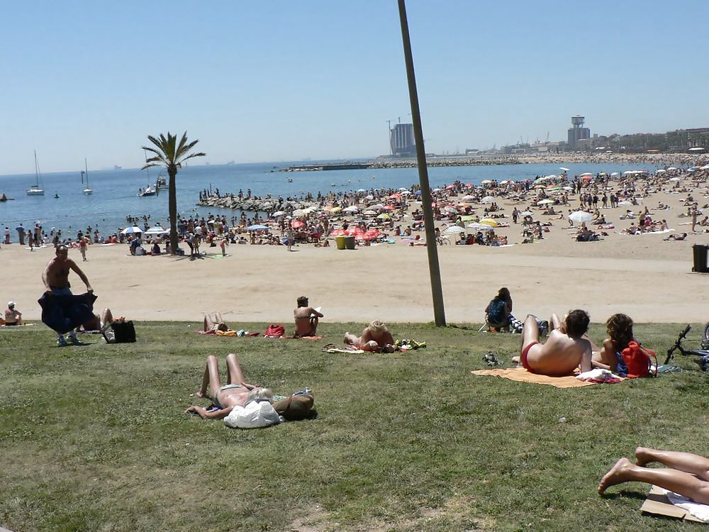 The beach 242 #23874007