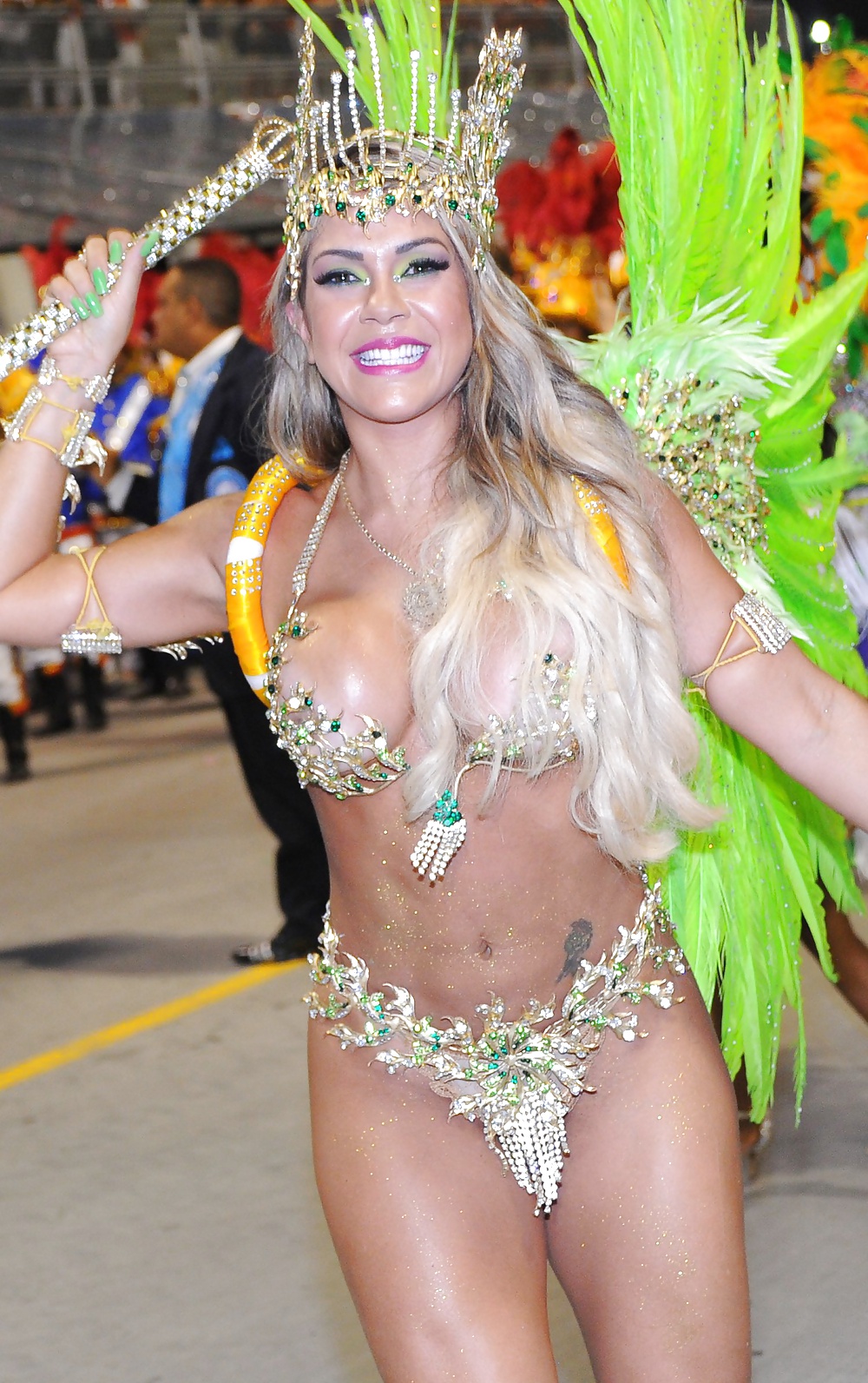 Carnaval 2014 #35171837