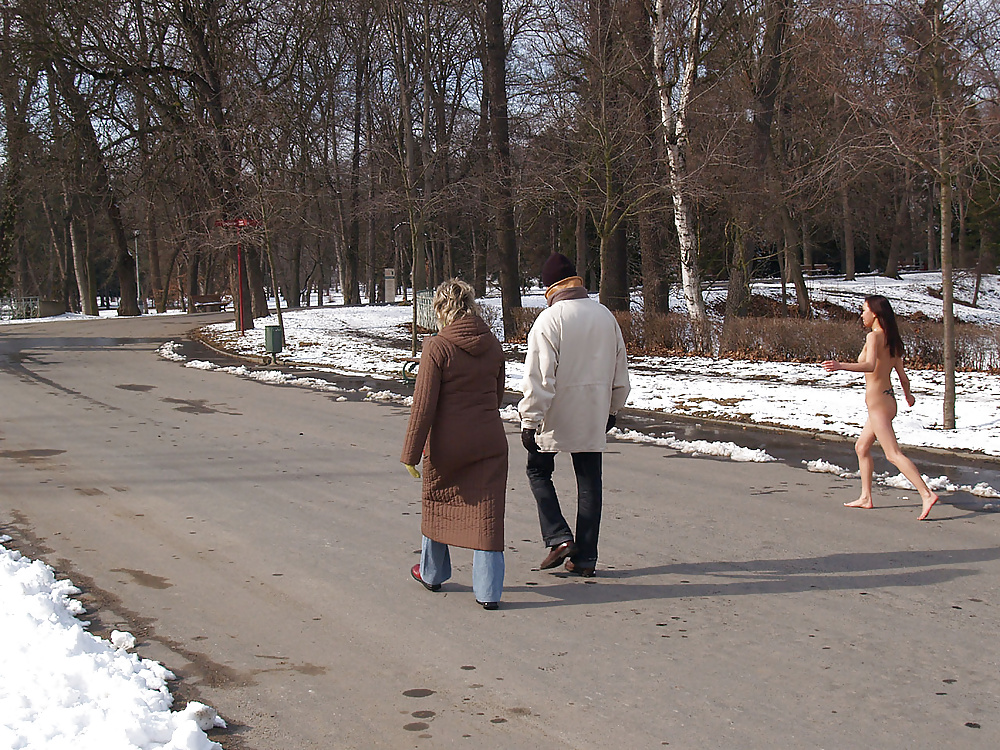 Une Promenade Dans Le Parc #39546718