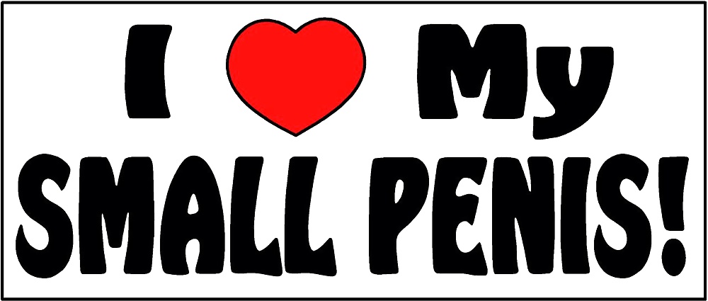 チンコよりも皮の方が多い、最も小さい状態
 #40374483