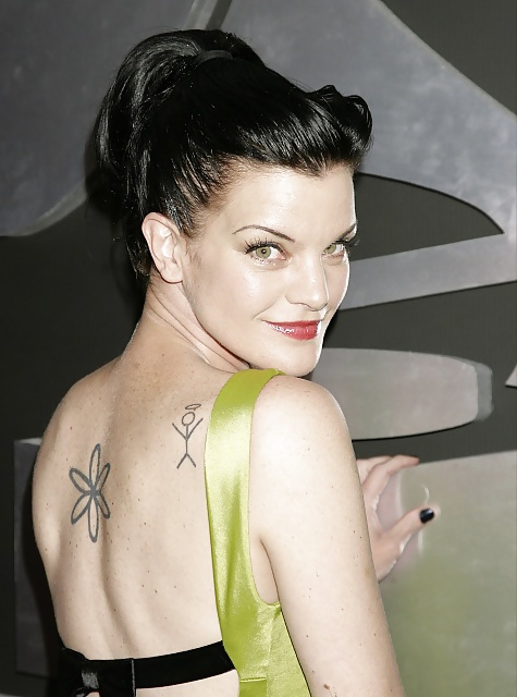 Pauley perrette
 #32700680