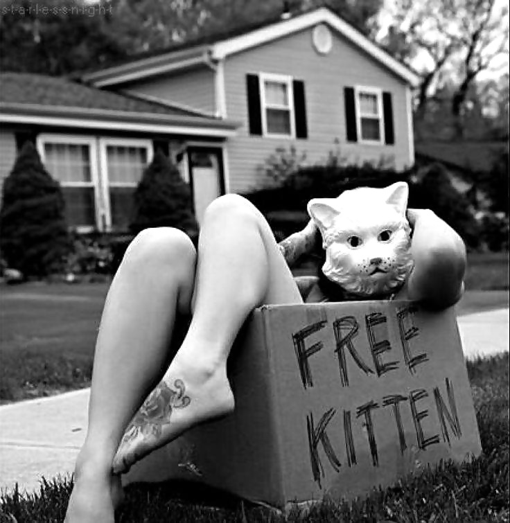 いくつかのより多くのファニー2
 #31202780