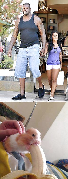 いくつかのより多くのファニー2
 #31202782