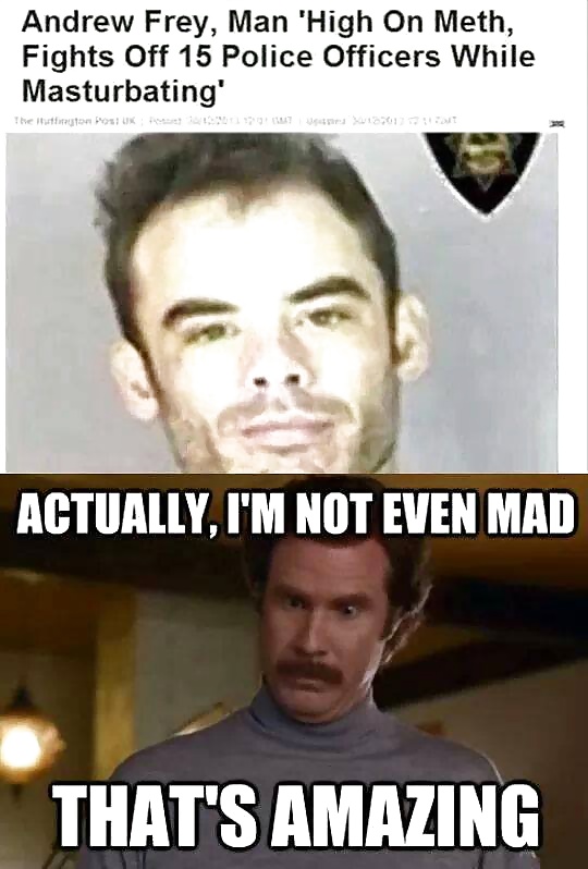 いくつかのより多くのファニー2
 #31202797