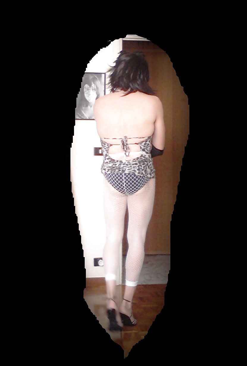 Gattina troia #22987531