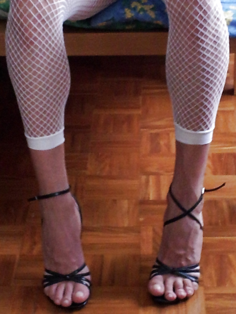 Gattina troia #22987558