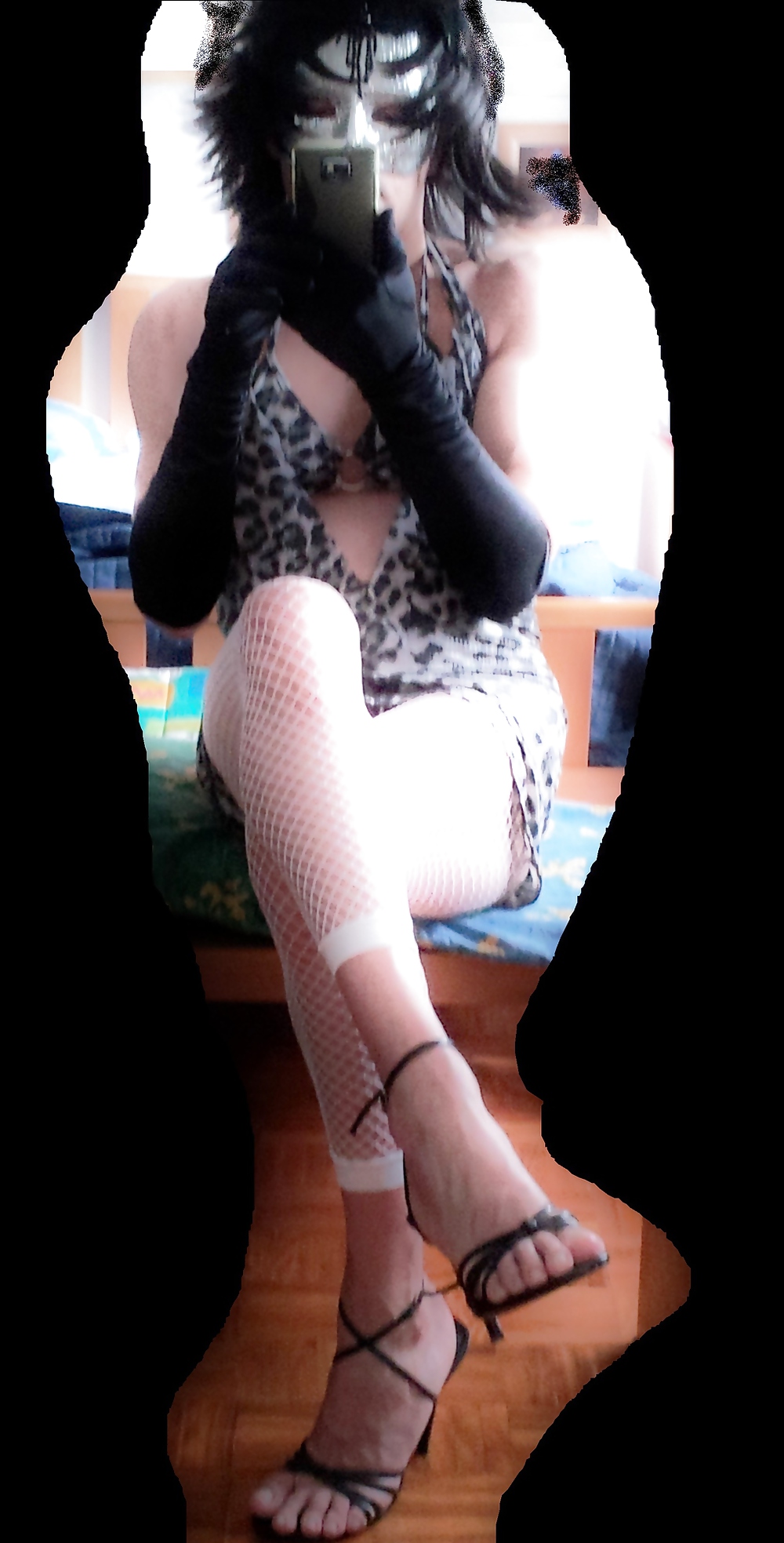 Gattina troia #22987572