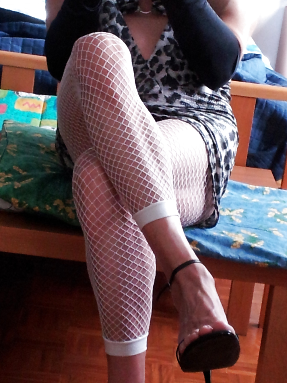 Gattina troia #22987580