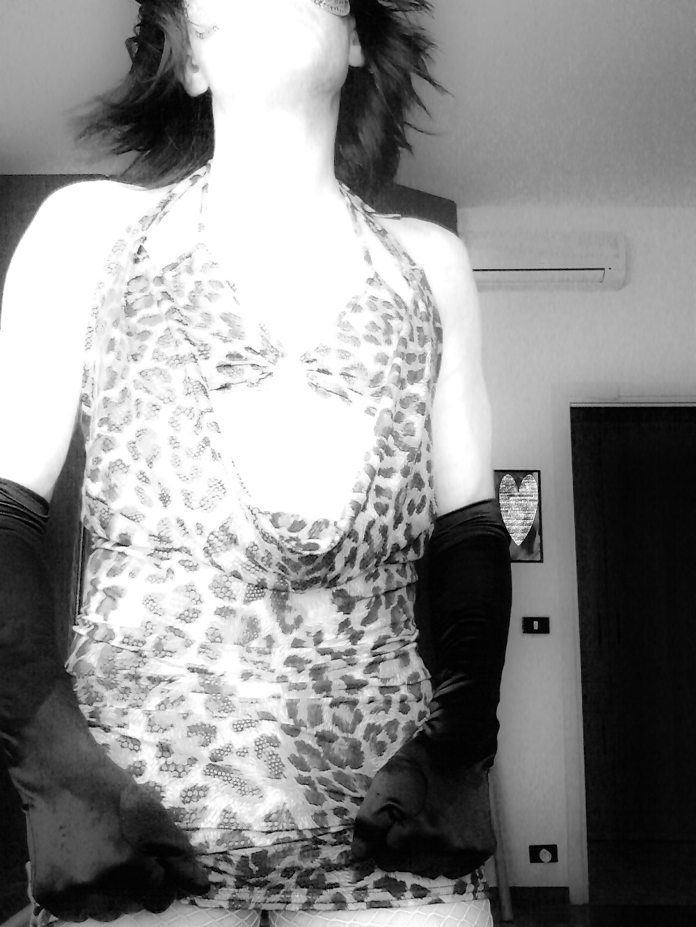 Gattina troia #22987654