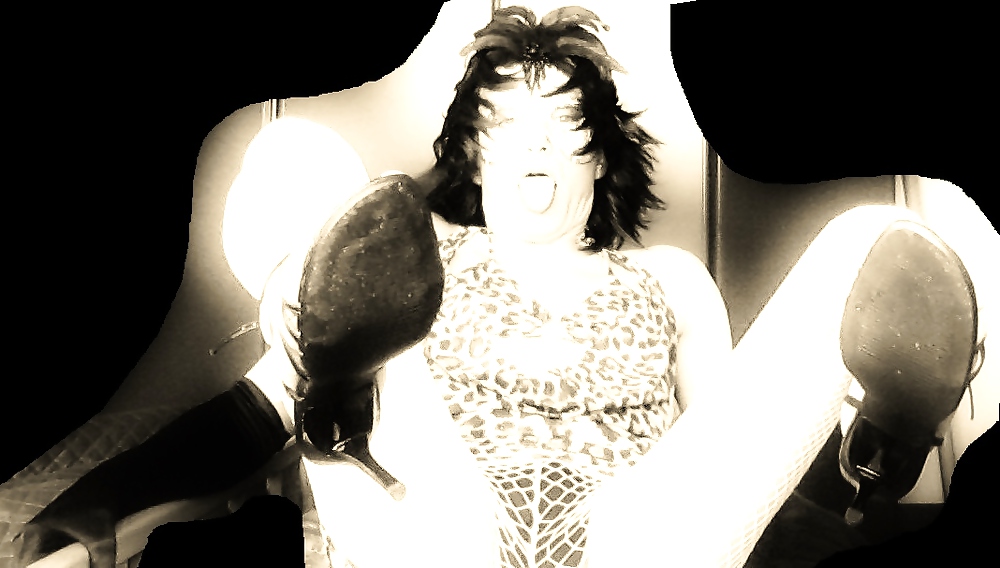Gattina troia #22987696