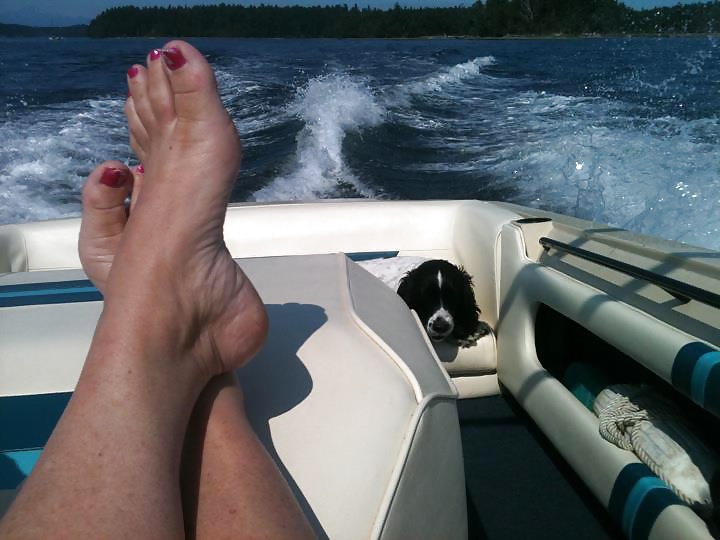 Solo pies
 #35398721