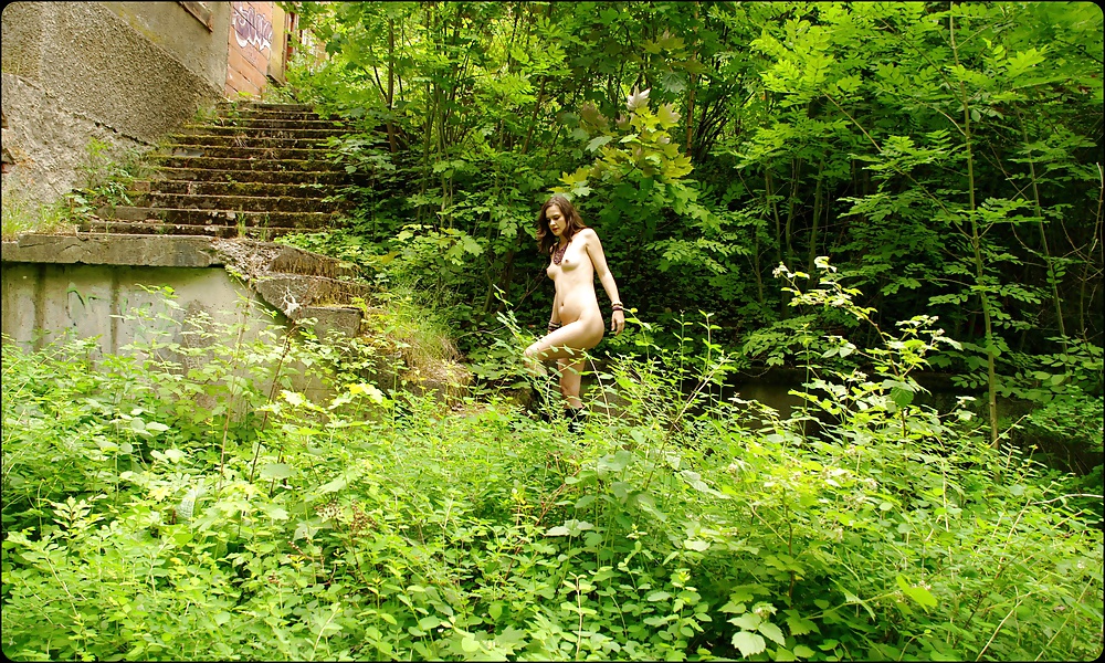 Guste-shooting set 1 #30012959