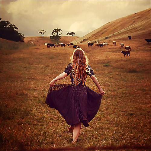 Magical stories.... #32792966