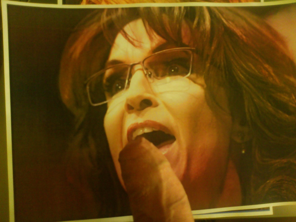 Tiibut for Sarah Palin #26319972