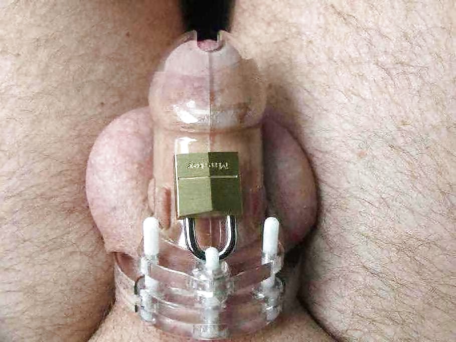 Chastity cage