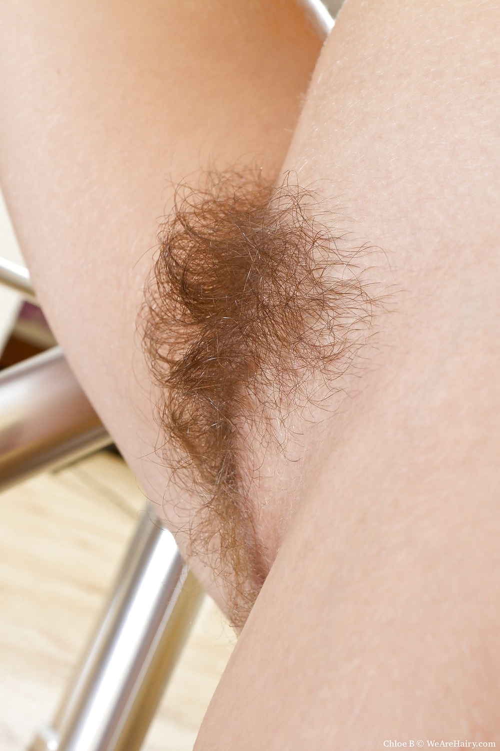 Hairy Teens & Matures 11 #31667533