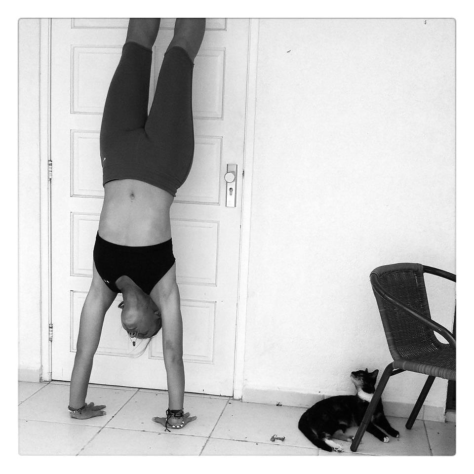 Holandés joven 4
 #35878079