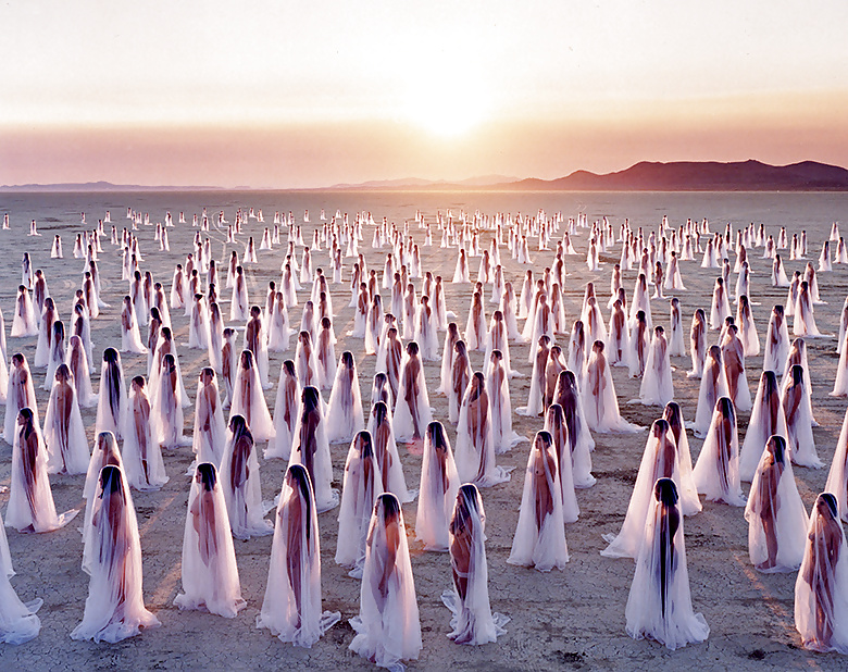 Un troupeau de femelles #31023289