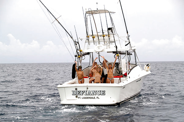 Un troupeau de femelles #31023375