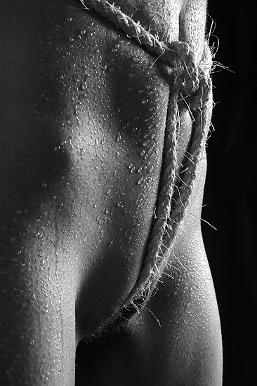 Dominance and submission 31 #36211524