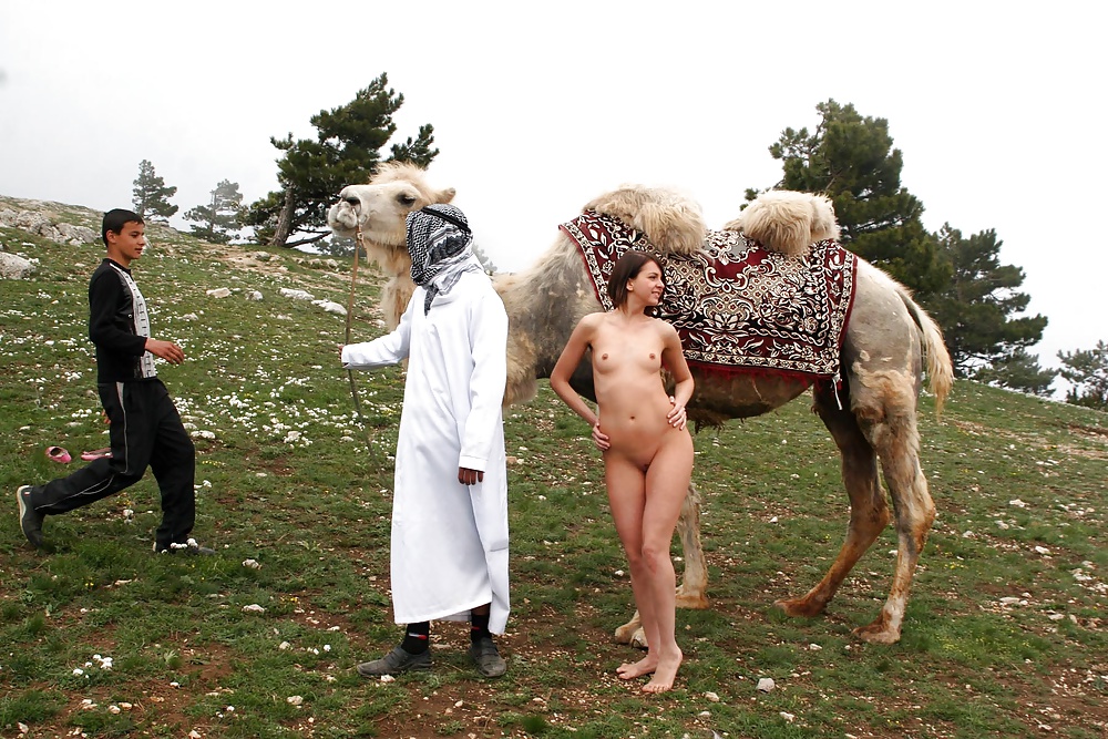 Camel tryp #31326924