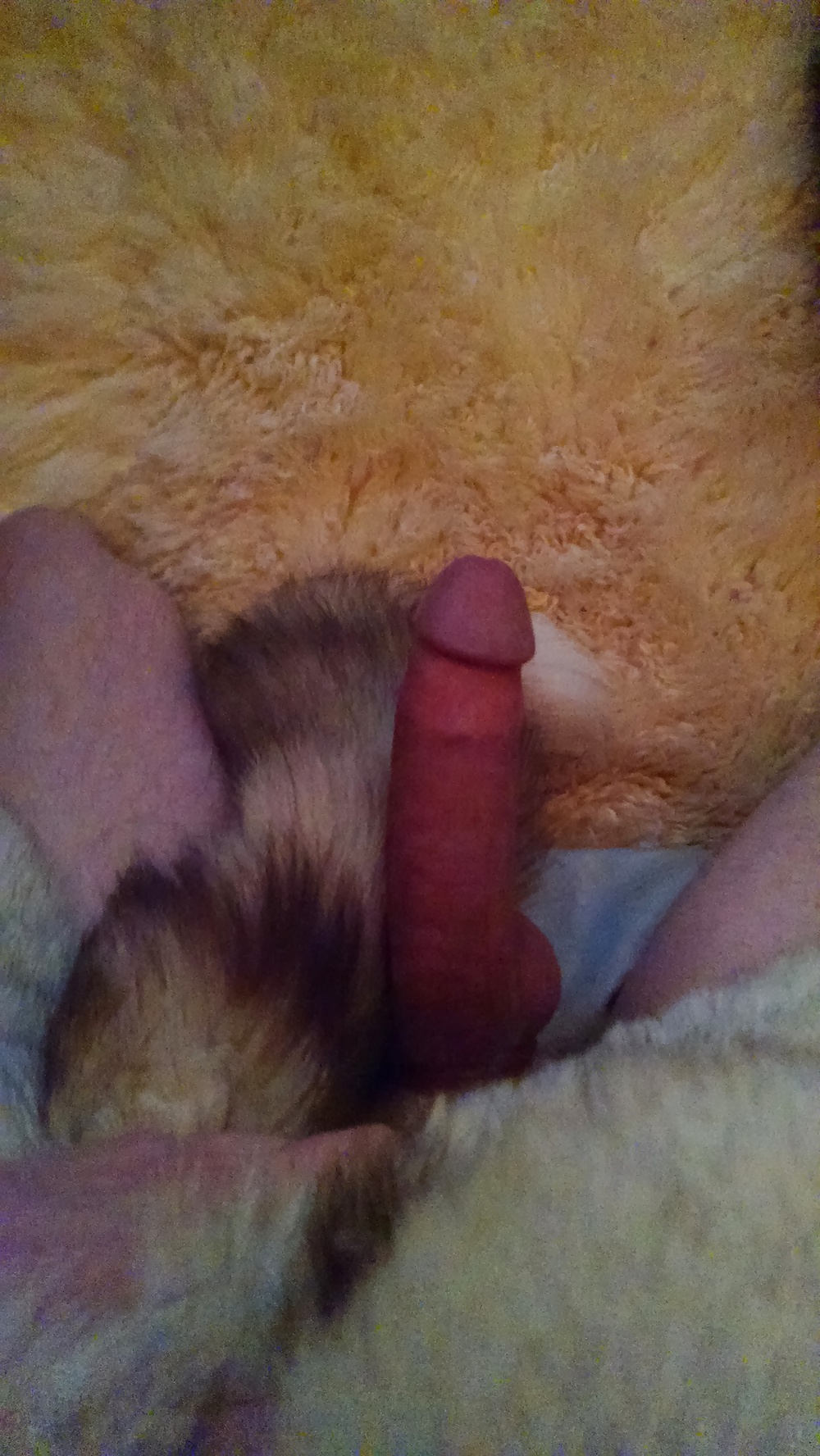 Messing Around #40042325