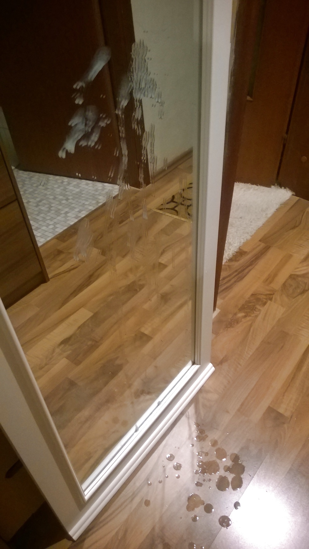 Mirror #35280580