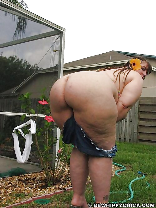Pawg: once u had meat u will never go back 2 bones #102
 #40806884