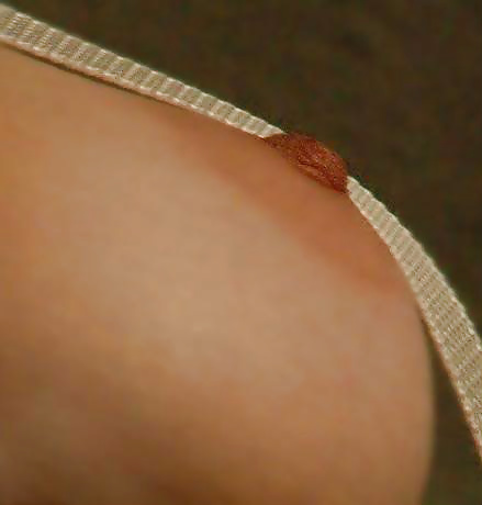 Freunde Für Mich Zu Blinken #27980433