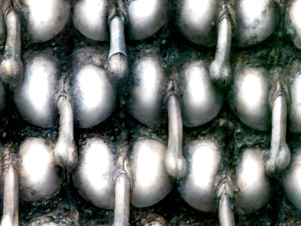 Danke hans ruedi giger - rip
 #26209685