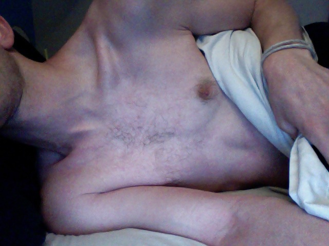 Broma matutina
 #40560062