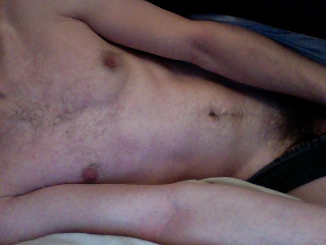 Broma matutina
 #40560071