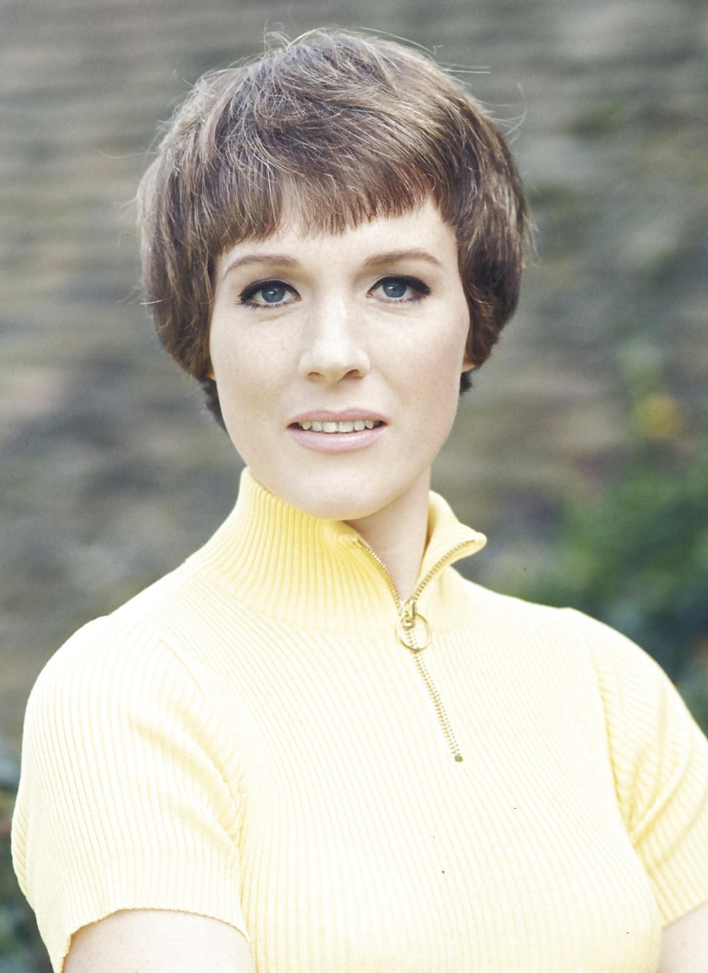 Julie andrews
 #25812524