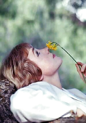 Julie Andrews #25812551