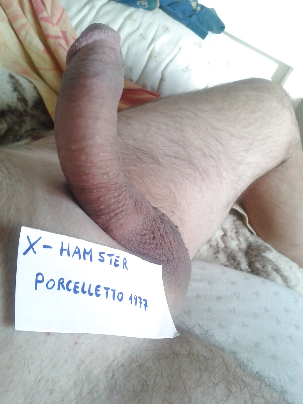 Mio cazzo
 #40058324