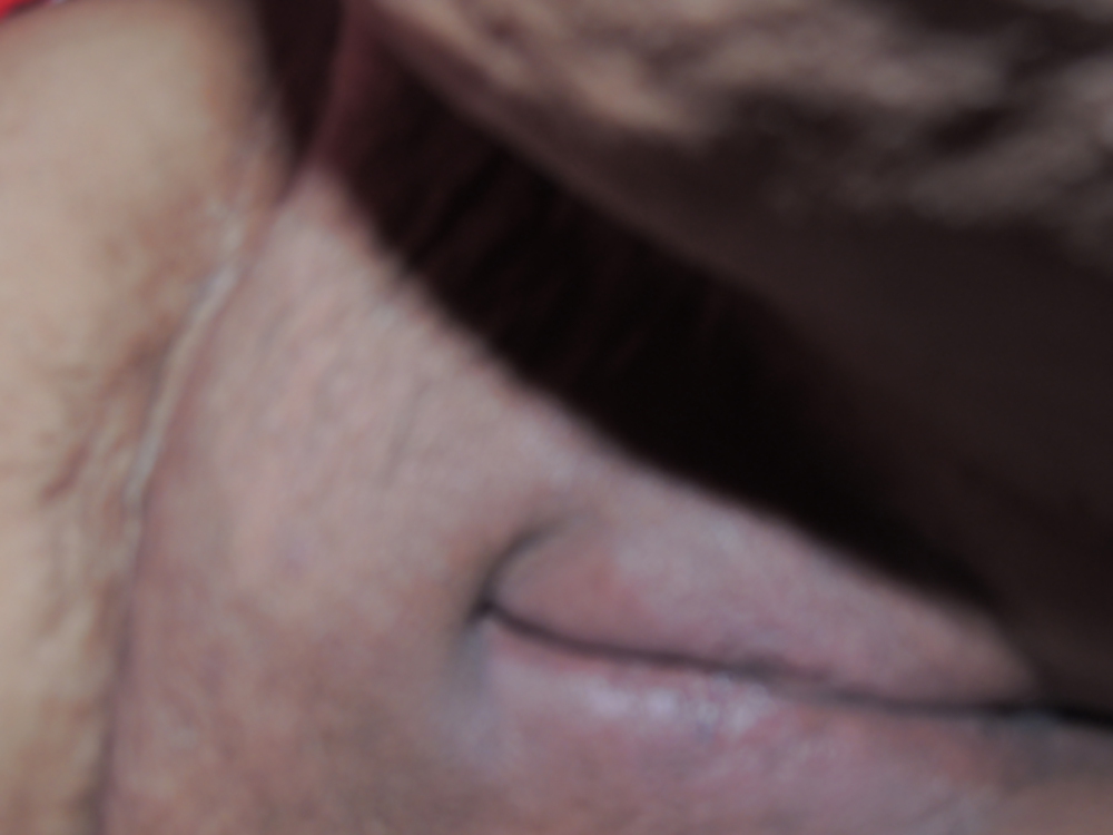 Fases de la luna
 #36604022