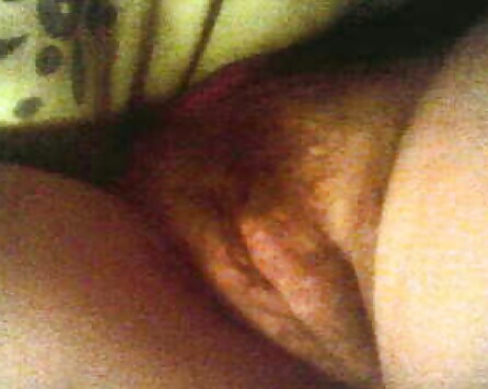 Ca belle chatte #29836430