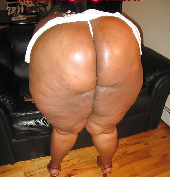 Bbw & ssbbw asses collection #25
 #24669627