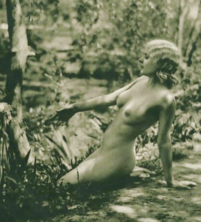 Wintage 14
 #39025311