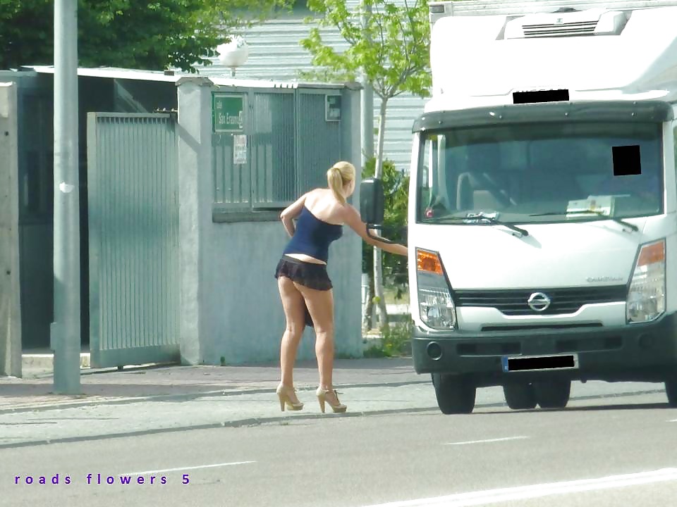 Prostitute di strada. roadflowers 4
 #32177782