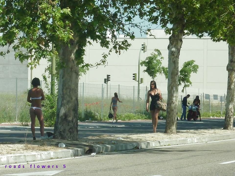 Prostitute di strada. roadflowers 4
 #32177783