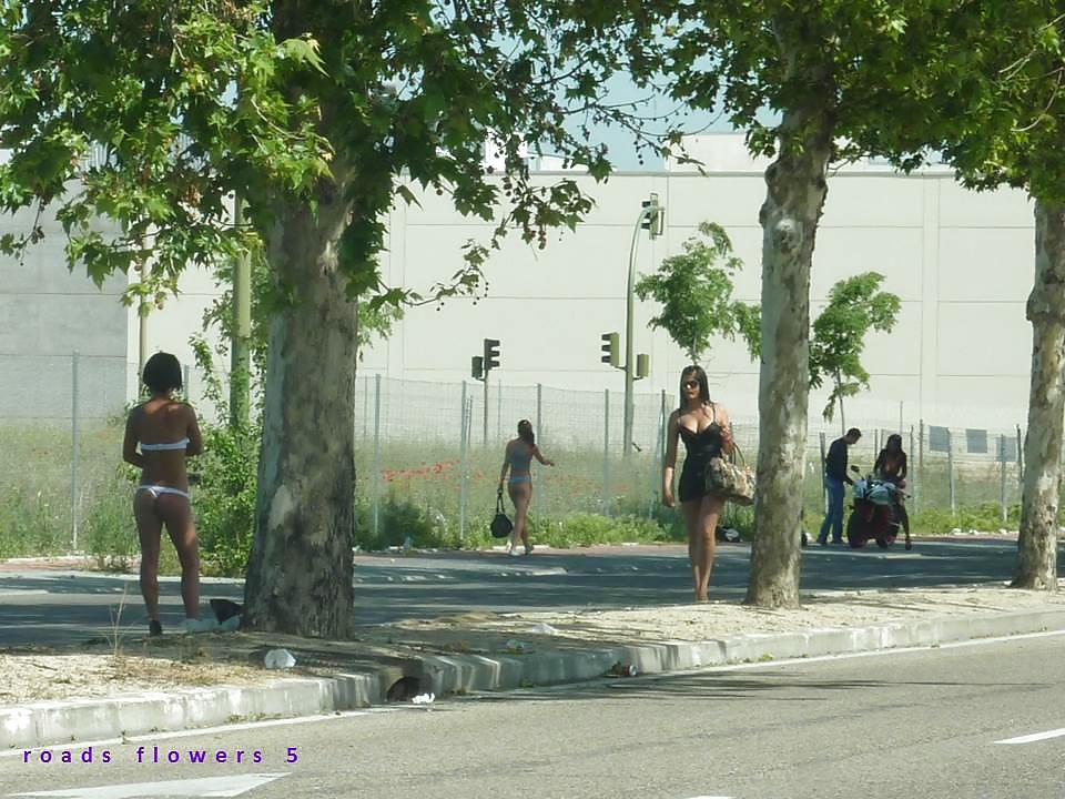 Street hookers. Roadflowers 4 #32177783