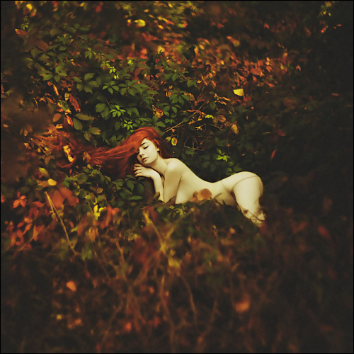 官能的な美しさ、オッラの眼差しを越えて 32
 #39650542